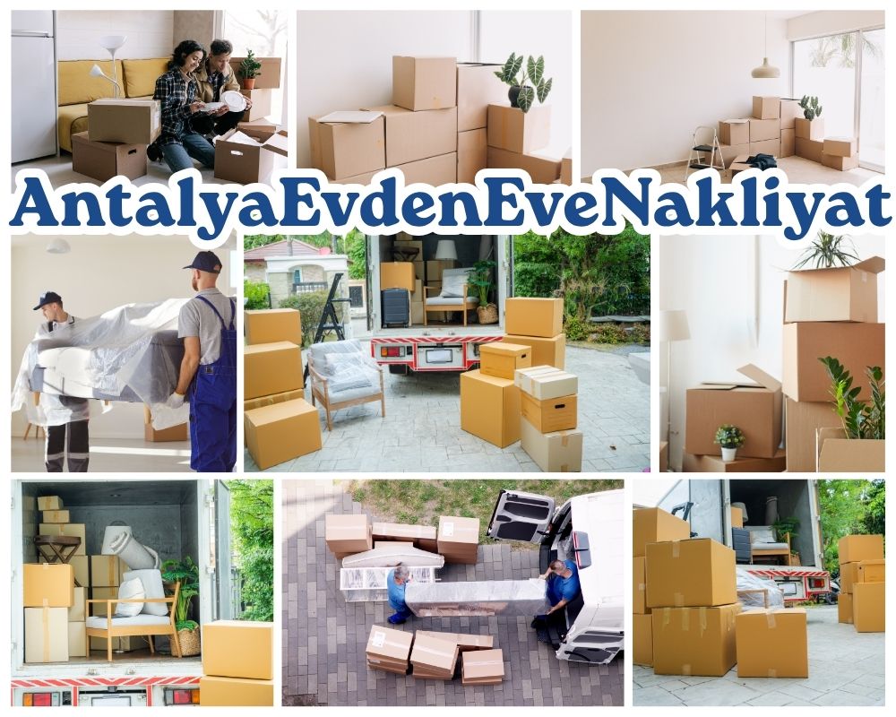 Antalya Şavşat Evden Eve Nakliye